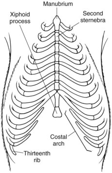 Surgery of the Lower Respiratory System: Lungs and Thoracic Wall