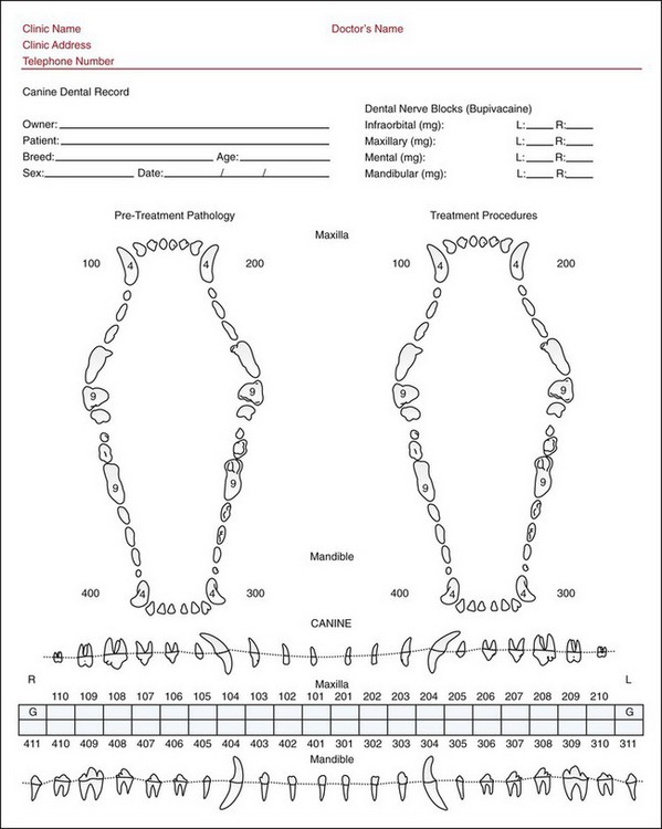 Dental And Oral Cavity Veterian Key