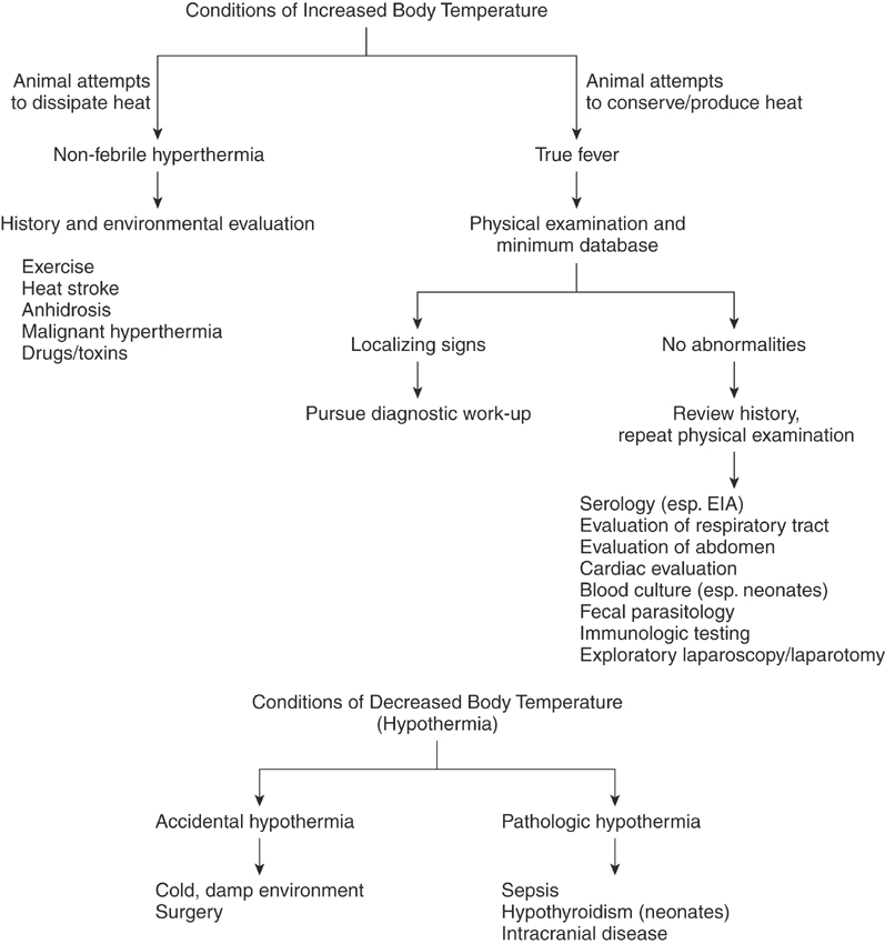 Clinical Approach to Commonly Encountered Problems | Veterian Key