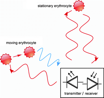 A194894_1_En_24_Fig4_HTML.gif