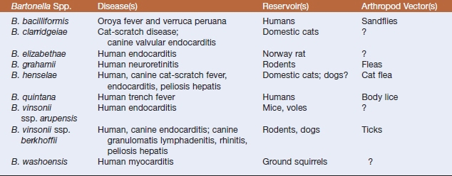 borne diseases of table vector Key Veterian  Infrequently  Rods Encountered Gram Negative