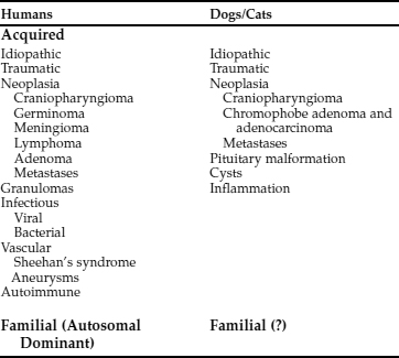 Water Metabolism And Diabetes Insipidus Veterian Key