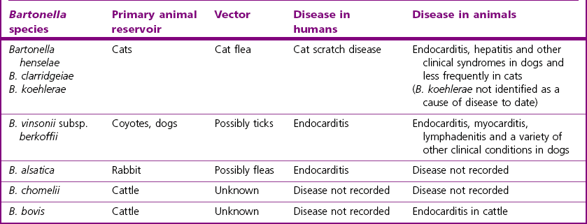 Miscellaneous Gram-negative bacteria | Veterian Key