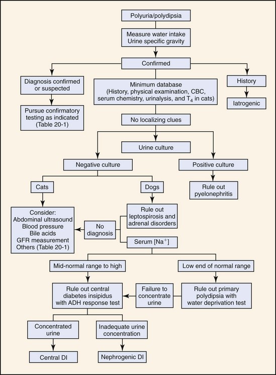 Polyuria And Polydipsia Veterian Key