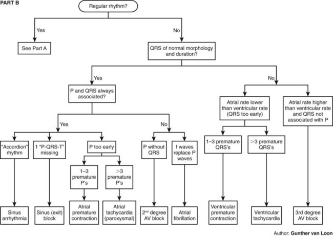 Electrocardiography/Arrhythmia | Veterian Key