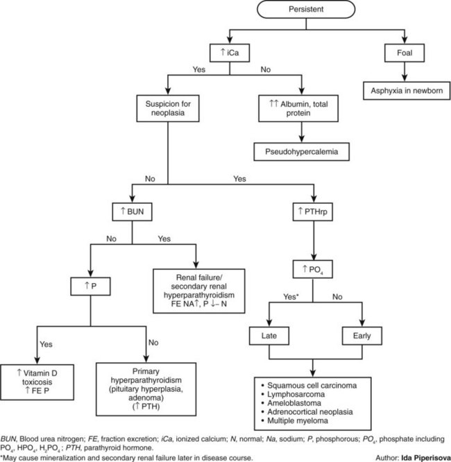 Hypercalcemia How To Approach