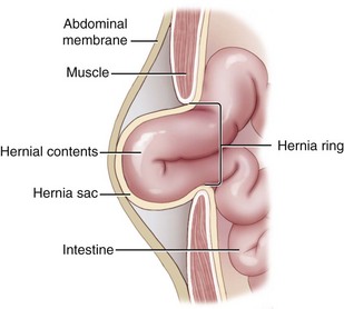 is hernia common in puppies