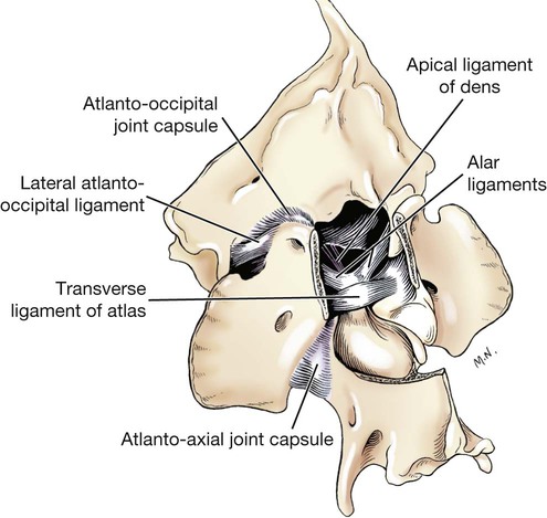 erupții pe articulații cu artrită reumatoidă durere articulară popliteală