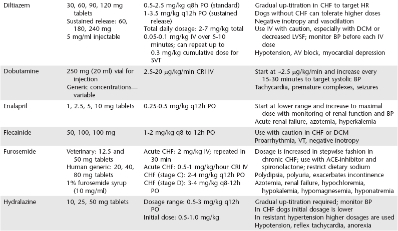 how to treat congestive heart failure in dogs