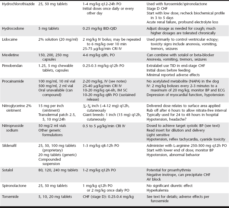 Holistic Options For Congestive Heart Failure In Dogs Dogs