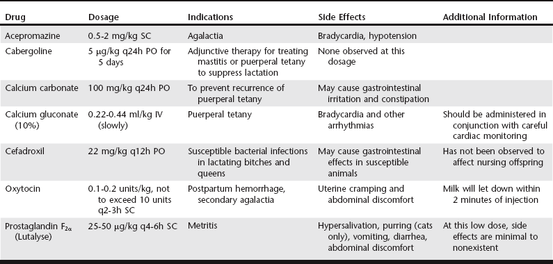 Postpartum Disorders in Companion Animals | Veterian Key