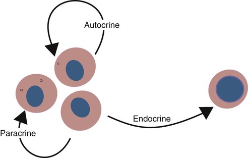 paracrine autocrine signaling cytokines cell endocrine receptors hormones effects differ distinction among figure most