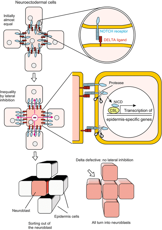 A59550_1_En_10_Fig1_HTML.gif