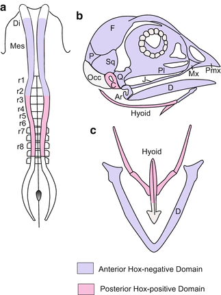 A59550_1_En_15_Fig4_HTML.gif