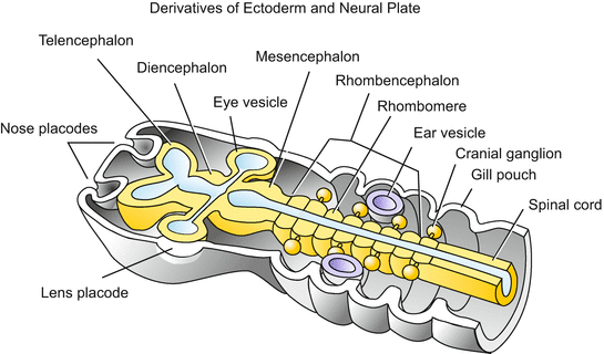 A59550_1_En_6_Fig20_HTML.gif