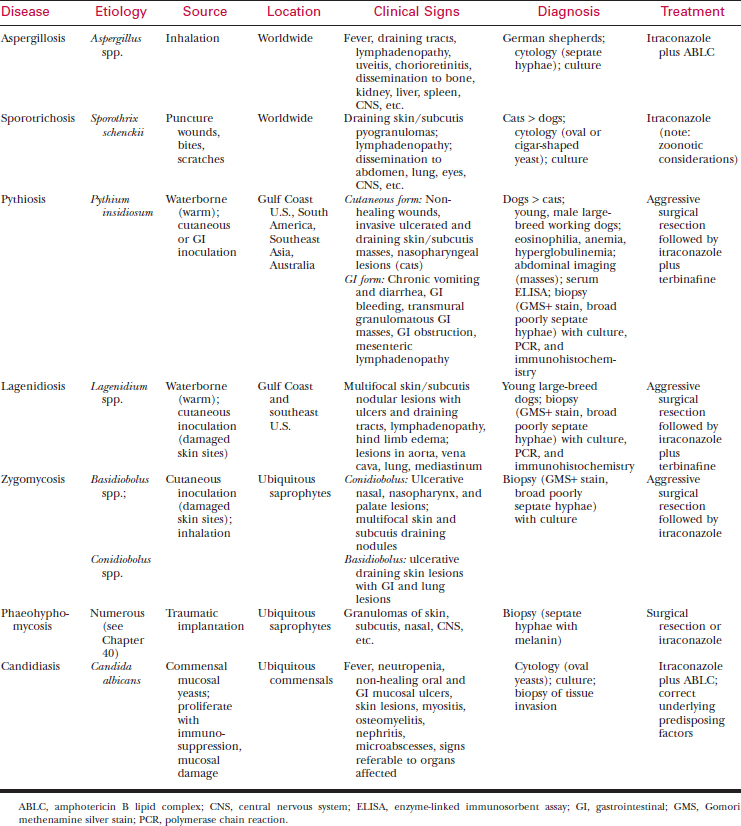 Systemic Mycoses | Veterian Key