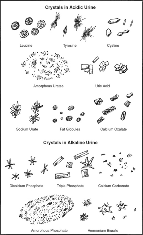 feline urinary crystals