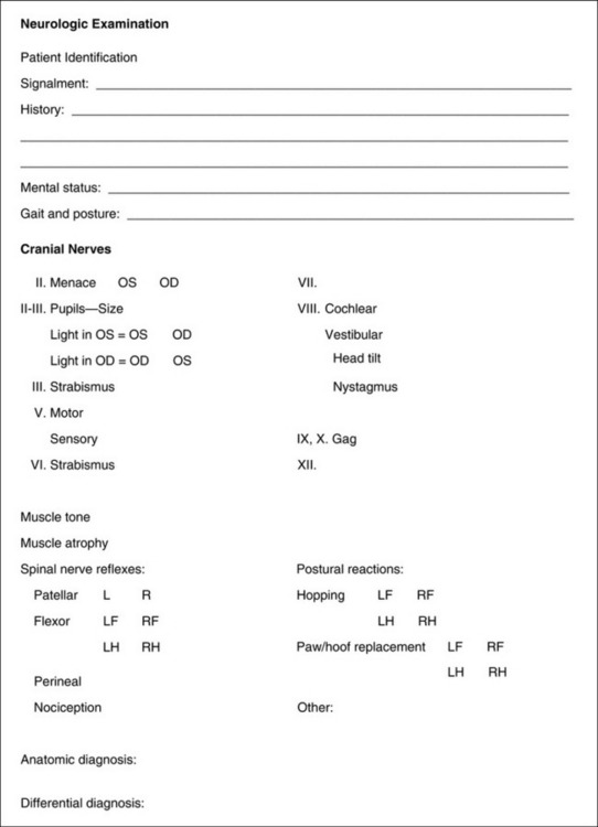 The Neurologic Examination Veterian Key