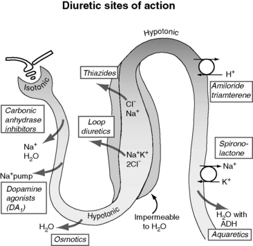 diuretics cause high potassium