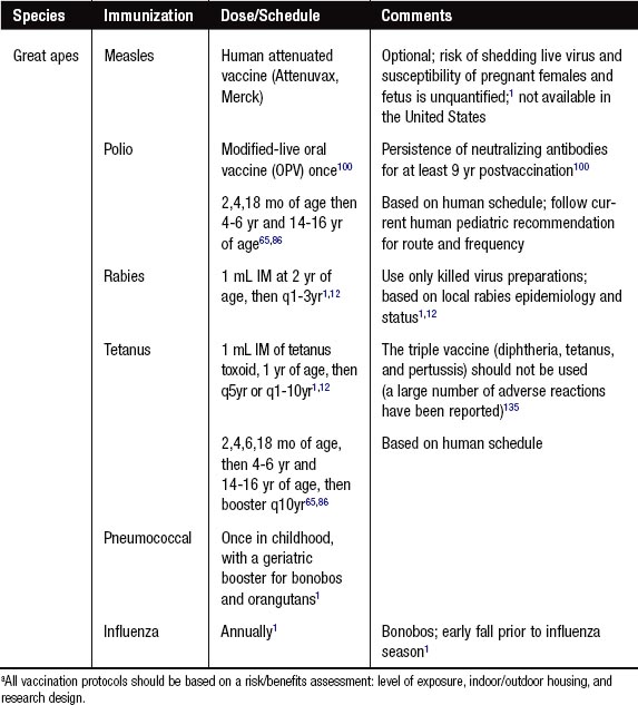 Primates | Veterian Key