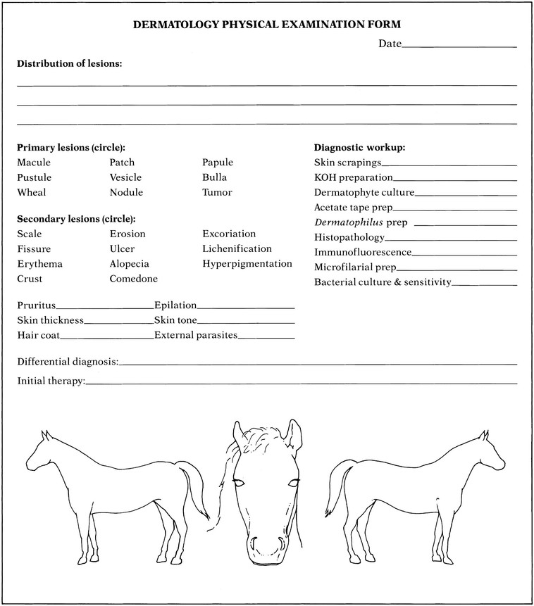equine-physical-exam-form