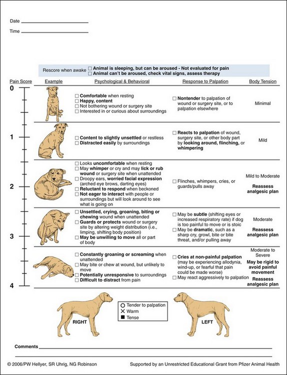 Acute Pain Scale