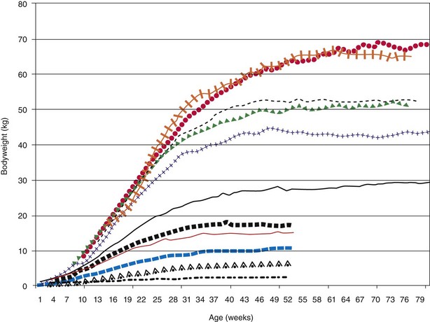 Harlan Sprague Dawley Growth Chart