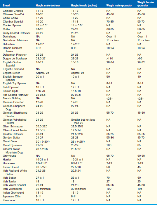 Springer Spaniel Weight Chart