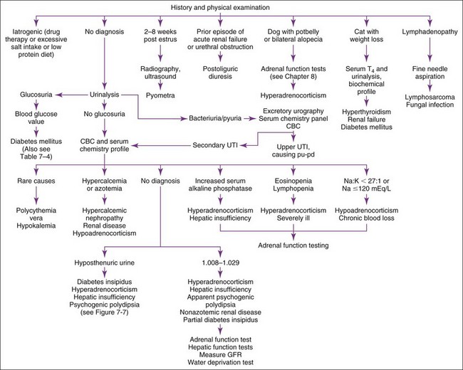 Urinary Disorders Veterian Key