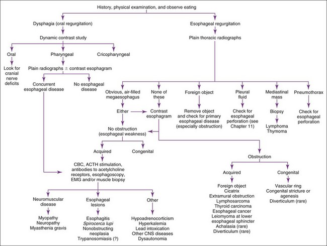 Gastrointestinal, Pancreatic, and Hepatic Disorders | Veterian Key