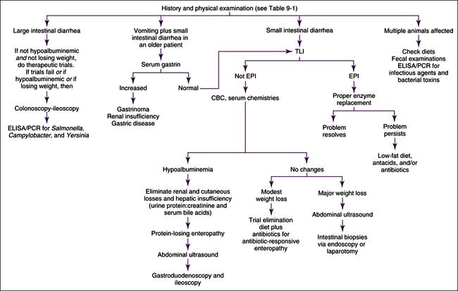 Gastrointestinal, Pancreatic, and Hepatic Disorders | Veterian Key