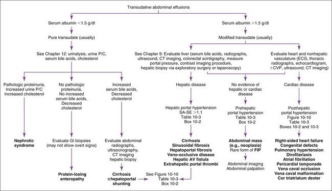 Fluid Accumulation Disorders | Veterian Key