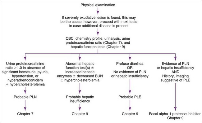 Immunologic And Plasma Protein Disorders Veterian Key