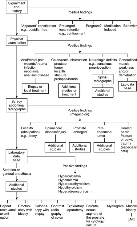 3: Clinical Signs | Veterian Key