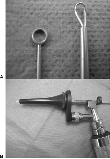 4: Diagnostic And Therapeutic Procedures | Veterian Key