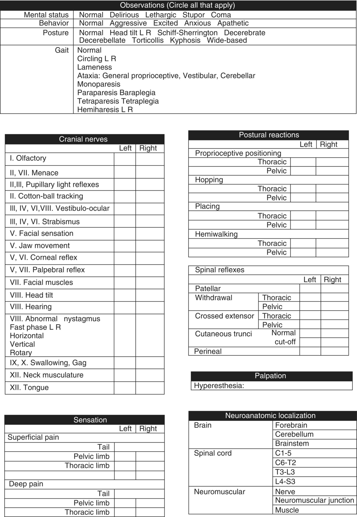 Physical Exam Template Veterinary