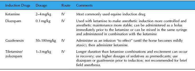 horses diazepam use in