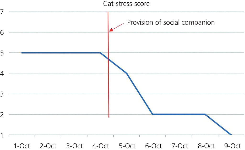 Feline Behavioral Assessment Veterian Key